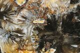 Saddle Rim Sagenite Agate Slab - Gary Buss Claim, Oregon #184803-1